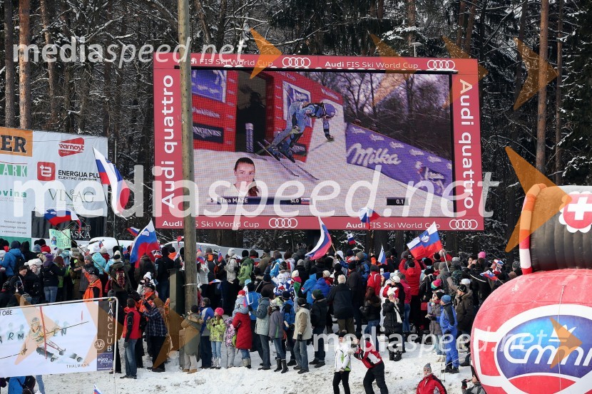 Navijači49. Zlata lisica 2012, slalom in druženje v VIP prostoru
