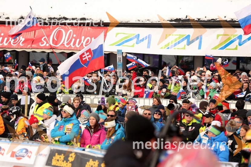 Navijači49. Zlata lisica 2012, slalom in druženje v VIP prostoru