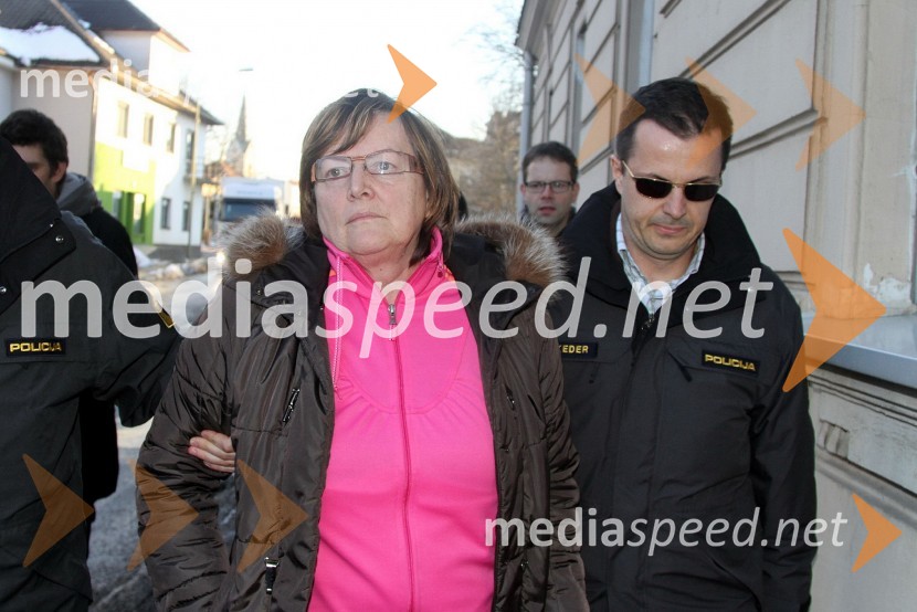 Hilda Tovšak, direktorica podjetja Vegrad d.d.Hilda Tovšak privedena k preiskovalnemu sodniku in pridržana