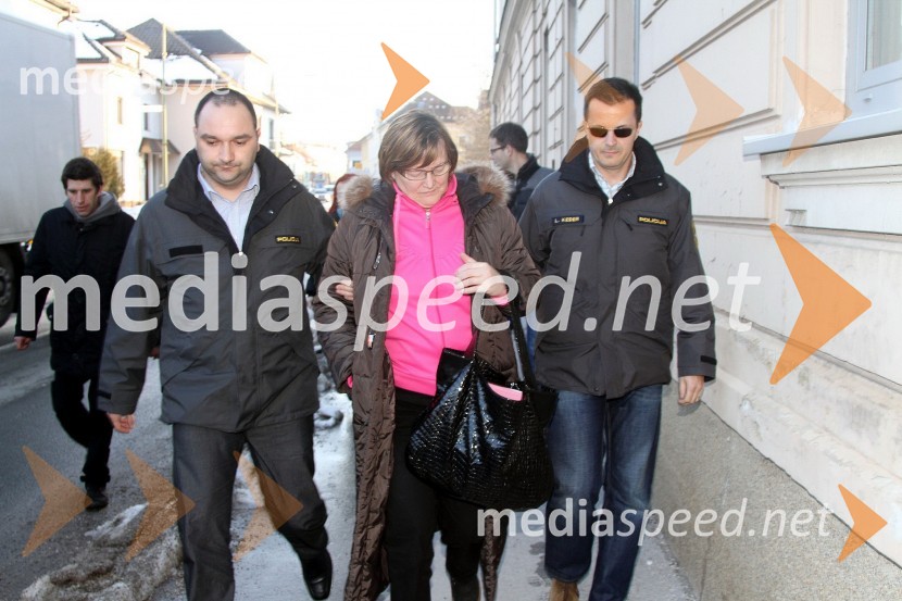 Hilda Tovšak, direktorica podjetja Vegrad d.d.Hilda Tovšak privedena k preiskovalnemu sodniku in pridržana