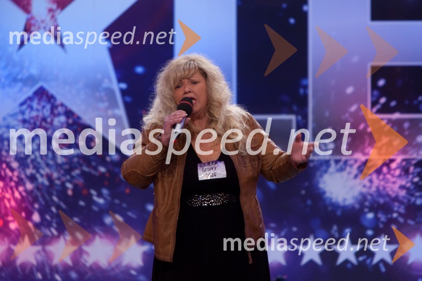 Ljubica ŠedivySlovenija ima talent, šesta avdicija