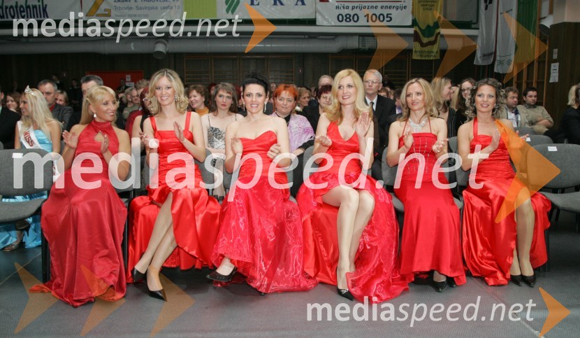 Kandidatke izbora Naj gospa 2006Slovenec leta 2006