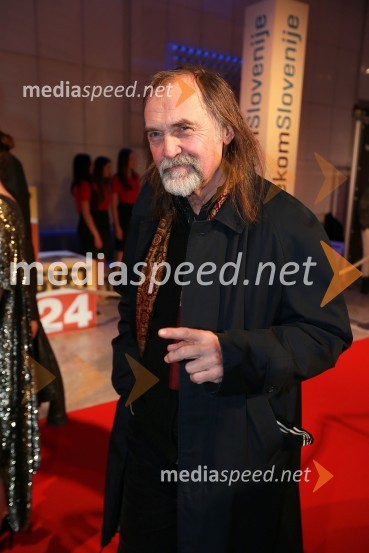 Dragan Bulič, glasbeni urednikViktorji 2012, rdeča preproga in druženje pred dvorano