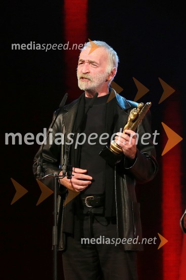 Viktorji 2012, podelitev nagrad