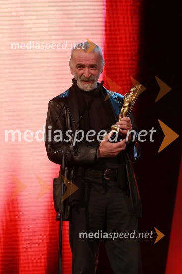 Viktorji 2012, podelitev nagrad