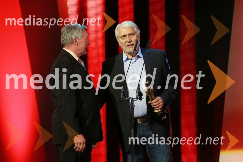 Mito Trefalt;&nbsp;Boris Cavazza, igralecViktorji 2012, podelitev nagrad