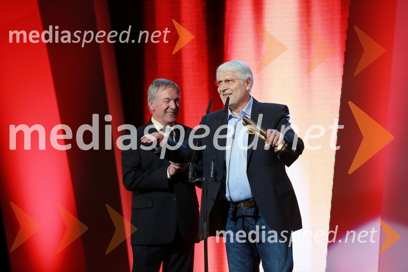 Mito Trefalt;&nbsp;Boris Cavazza, igralecViktorji 2012, podelitev nagrad