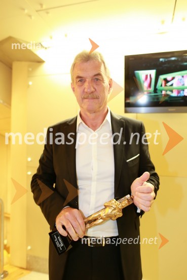 Slavko Bobovnik, TV voditeljViktorji 2012, podelitev nagrad