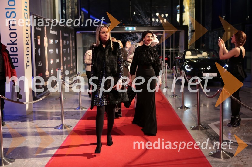 Viktorji 2012, rdeča preproga in druženje pred dvorano