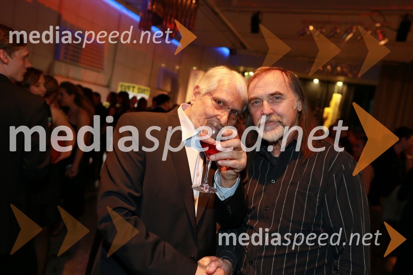 Boris Cavazza, igralec; Dragan Bulič, glasbeni urednikViktorji 2012, zabava po podelitvi