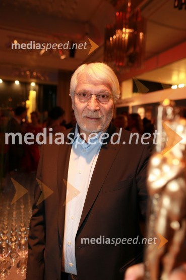 Boris Cavazza, igralecViktorji 2012, zabava po podelitvi