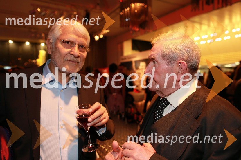 Boris Cavazza, igralec, Jurij Souček, igralecViktorji 2012, zabava po podelitvi