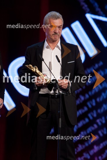Slavko Bobovnik, TV voditeljViktorji 2012, podelitev nagrad