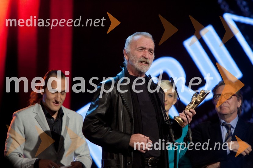 Viktorji 2012, podelitev nagrad