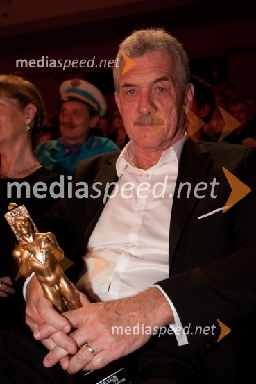 Slavko Bobovnik, TV voditeljViktorji 2012, podelitev nagrad