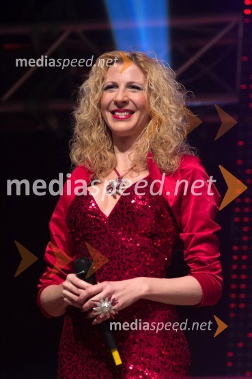 Diana Gomilšek, Duo PlatinDobrodelni koncert »Za prvi korak«