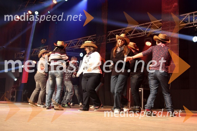 Dobrodelni koncert »Za prvi korak«