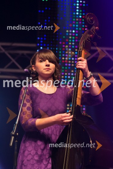 Dobrodelni koncert »Za prvi korak«