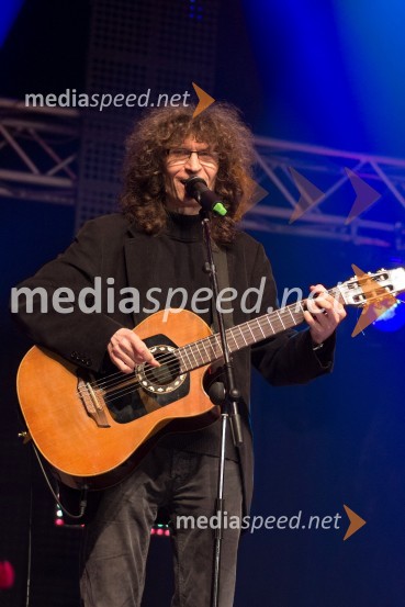 Adi Smolar, glasbenikDobrodelni koncert »Za prvi korak«