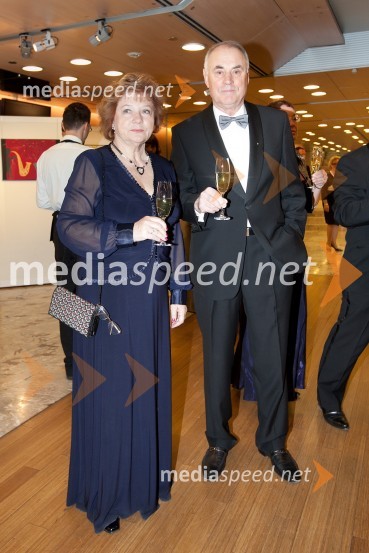 Veliki dobrodelni Lions ples 2013