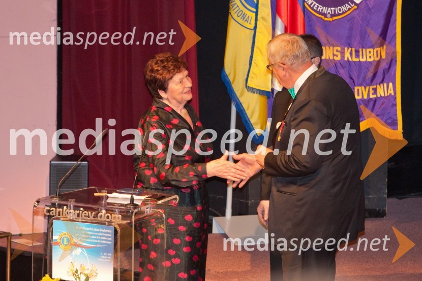 ...;&nbsp;Wayne A. Madden, predsednik svetovne Lions organizacijeVeliki dobrodelni Lions ples 2013