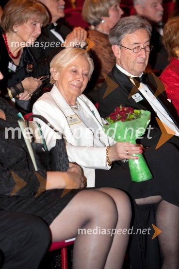 Veliki dobrodelni Lions plesVeliki dobrodelni Lions ples 2013