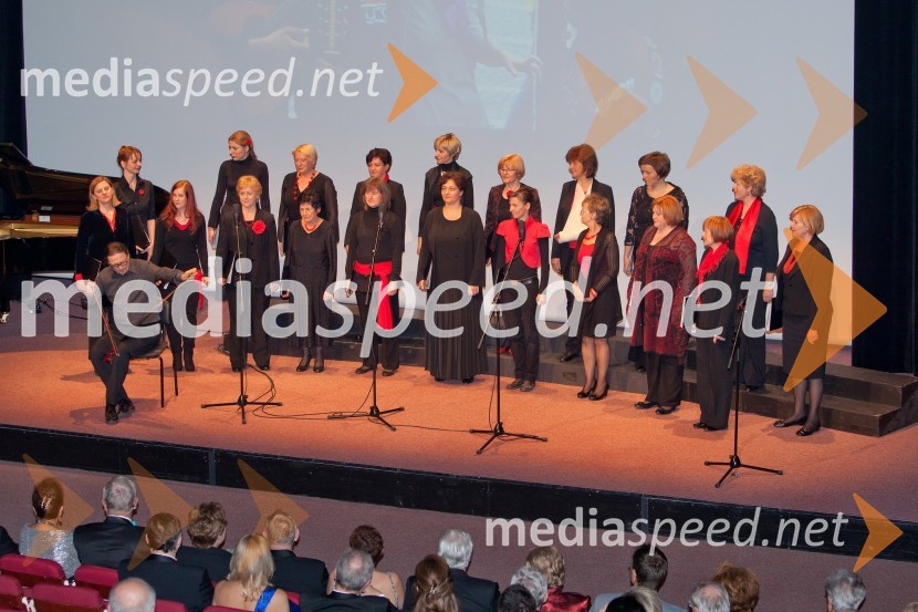 Veliki dobrodelni Lions ples 2013