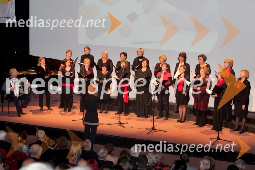 Veliki dobrodelni Lions ples 2013
