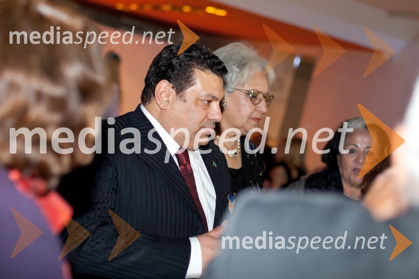 Veliki dobrodelni Lions ples 2013