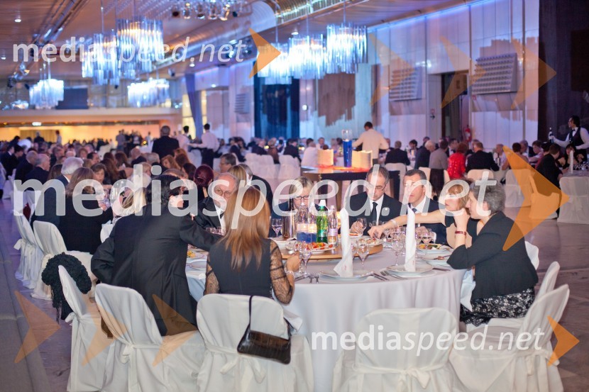 Veliki dobrodelni Lions plesVeliki dobrodelni Lions ples 2013