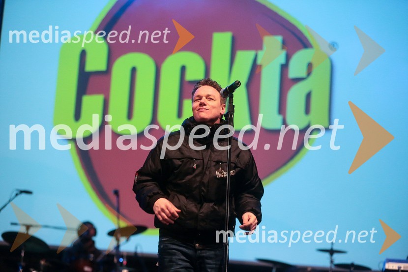 Planica 2013, finale v smučarskih poletih, sobota