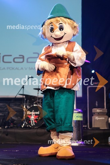 Planica 2013, finale v smučarskih poletih, sobota