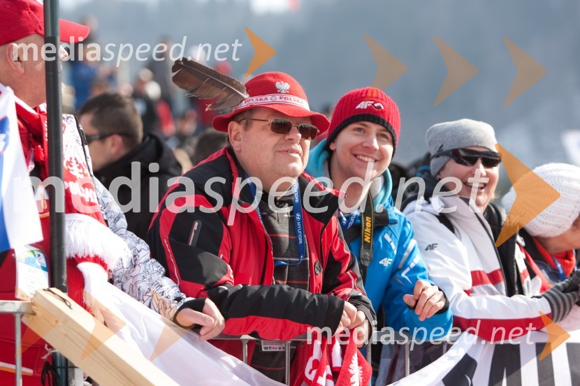 Planica 2013, finale v smučarskih poletih, sobota