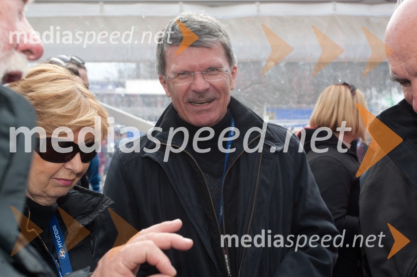 Stane ValantPlanica 2013, finale v smučarskih poletih, sobota