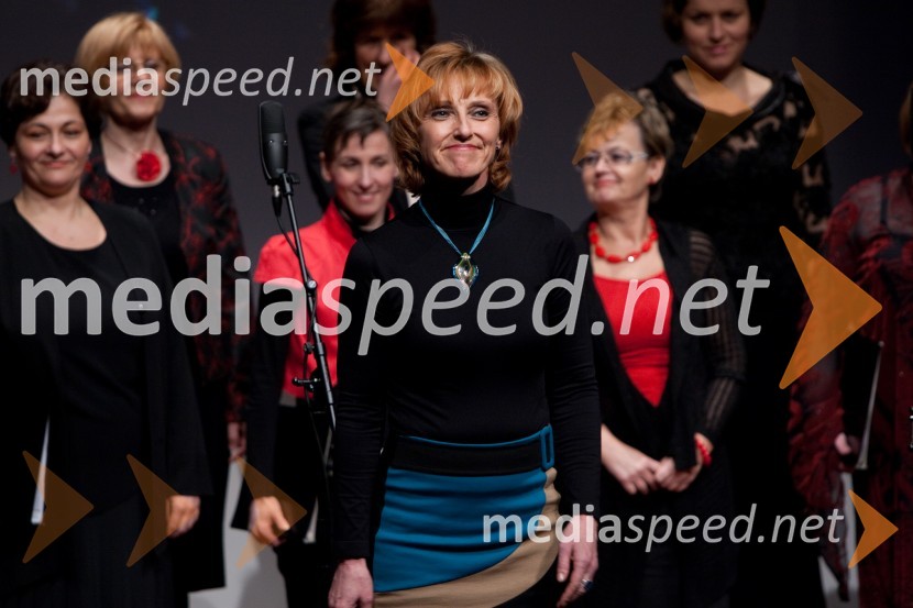 Veliki dobrodelni Lions ples 2013