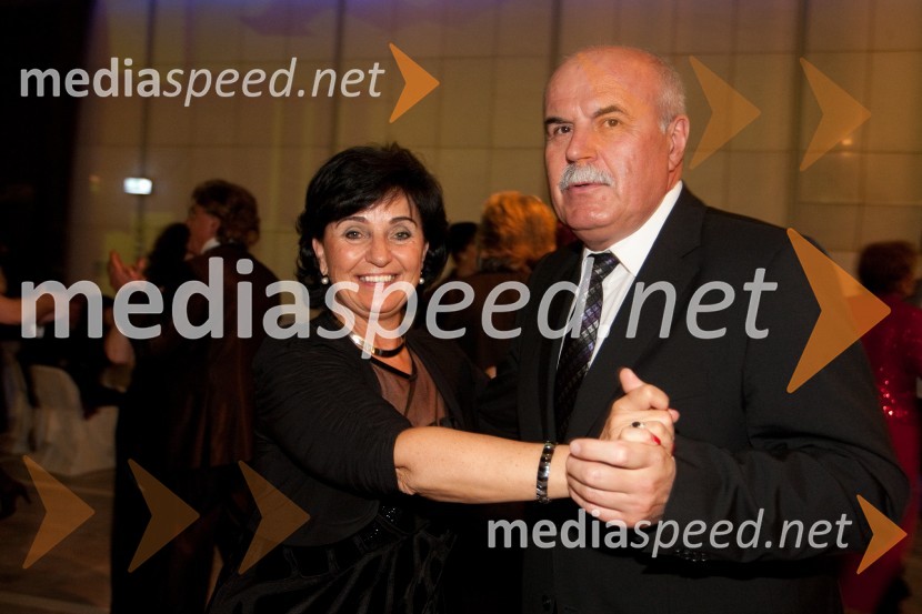 Veliki dobrodelni Lions ples 2013