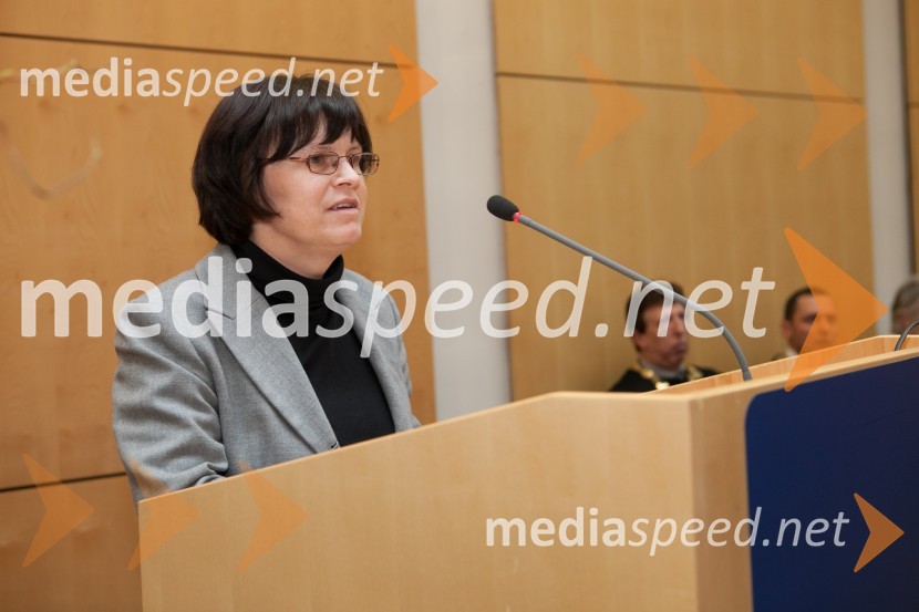 Prof. dr. Zorka Novak Pintarič, Fakulteta za kemijo in kemijsko tehnologijo UMUniverza v Mariboru, promocija doktorjev znanosti, marec 2013