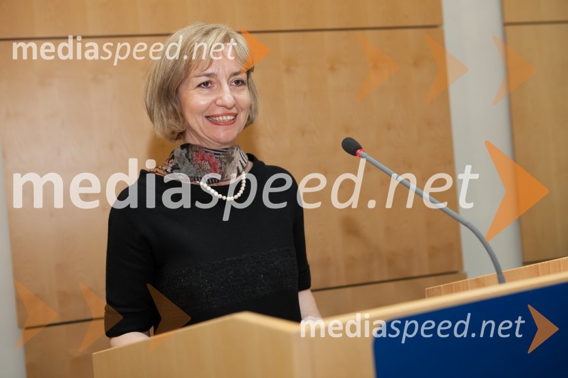 Prof. dr. Karin Stana Kleinschek, Fakulteta za strojništvo UMUniverza v Mariboru, promocija doktorjev znanosti, marec 2013