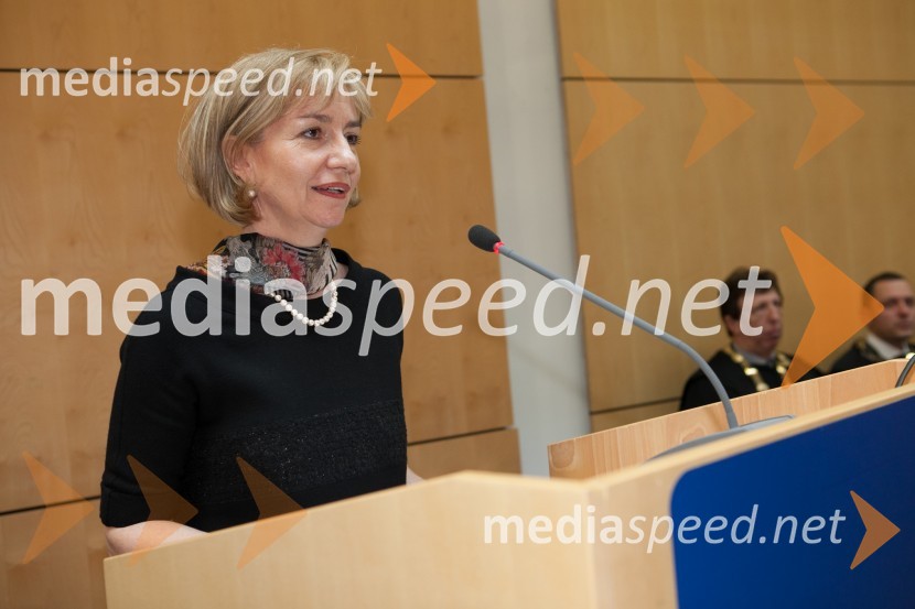 Prof. dr. Karin Stana Kleinschek, Fakulteta za strojništvo UMUniverza v Mariboru, promocija doktorjev znanosti, marec 2013