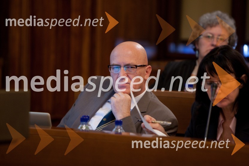 Mirko Brnič Jager25. seja mestnega sveta Mestne občina Ljubljana