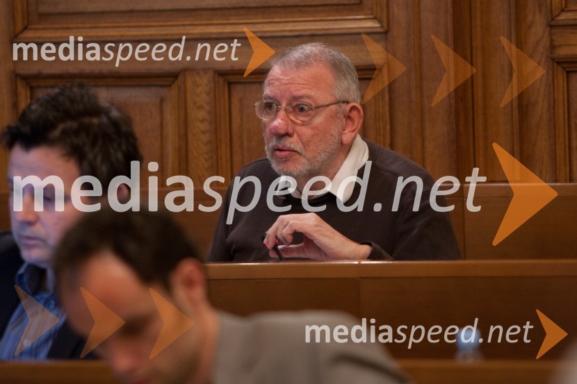 Miha Jazbinšek25. seja mestnega sveta Mestne občina Ljubljana