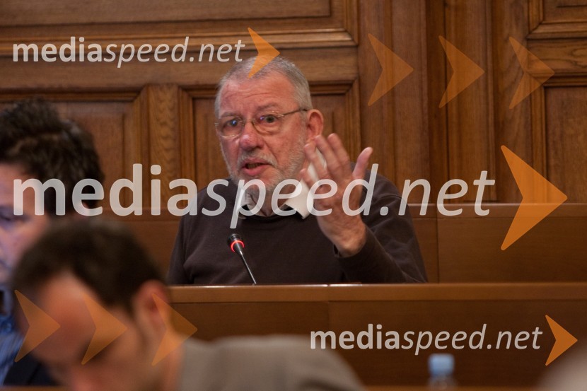 Miha Jazbinšek25. seja mestnega sveta Mestne občina Ljubljana