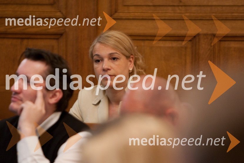 Mojca Kucler Dolinar25. seja mestnega sveta Mestne občina Ljubljana