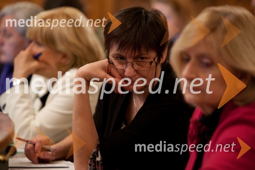 Stanka Ferenčak Marin25. seja mestnega sveta Mestne občina Ljubljana