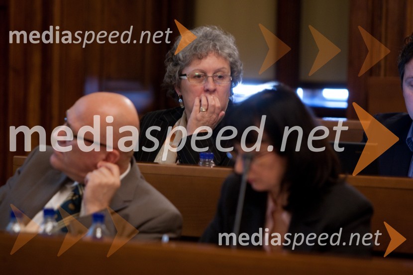 Jožica Virant25. seja mestnega sveta Mestne občina Ljubljana