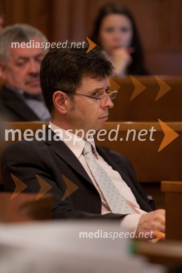 Dejan Crnek25. seja mestnega sveta Mestne občina Ljubljana