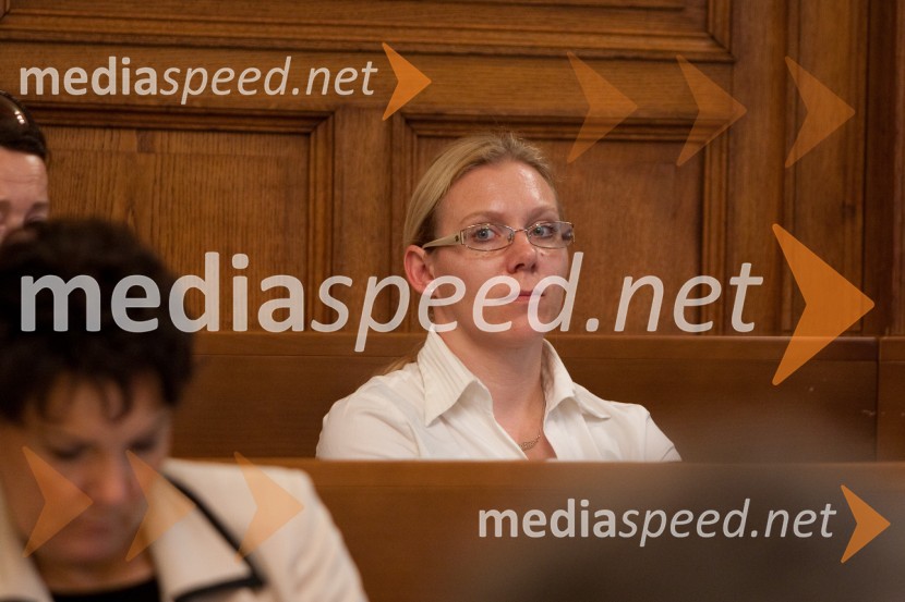 25. seja mestnega sveta Mestne občina Ljubljana