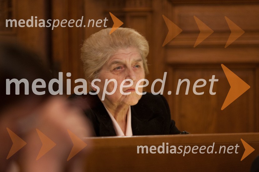 Julijana Žibert25. seja mestnega sveta Mestne občina Ljubljana