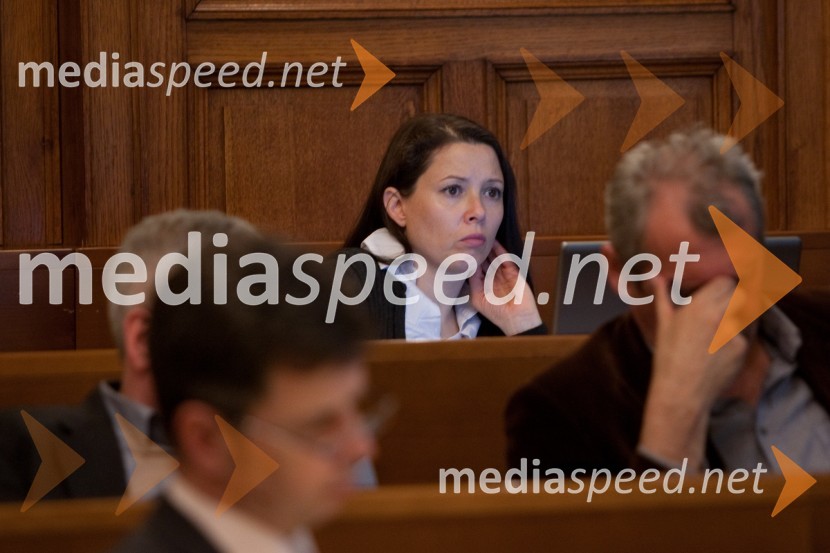 25. seja mestnega sveta Mestne občina Ljubljana