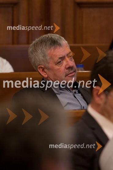 Aleš Kardelj25. seja mestnega sveta Mestne občina Ljubljana